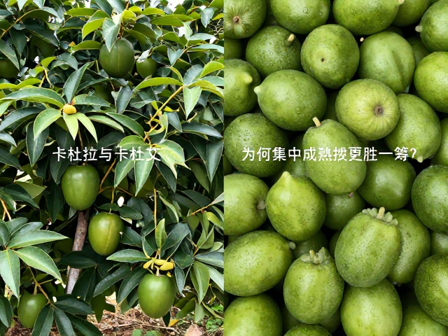 经济效益与劳动力管理