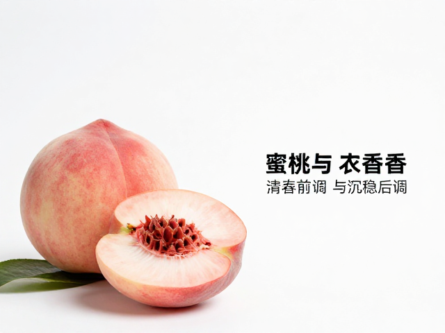 香气逻辑与感官体验