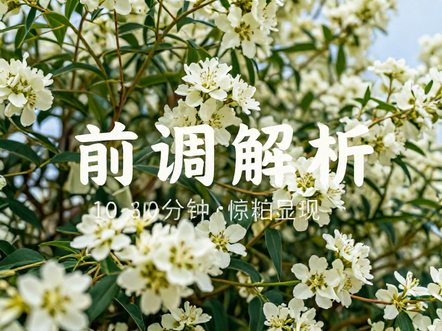 鲜花香氛前调解析,比后调更明亮清晰,10-30分钟惊艳显现