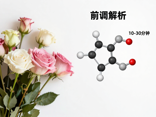 分子结构与嗅觉清晰度的关联