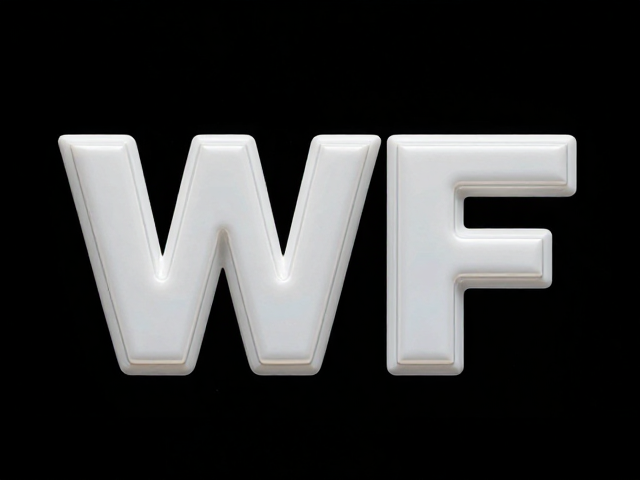 WF会场限定,PVC高温注塑一体成型工艺与表面抛光技术解析