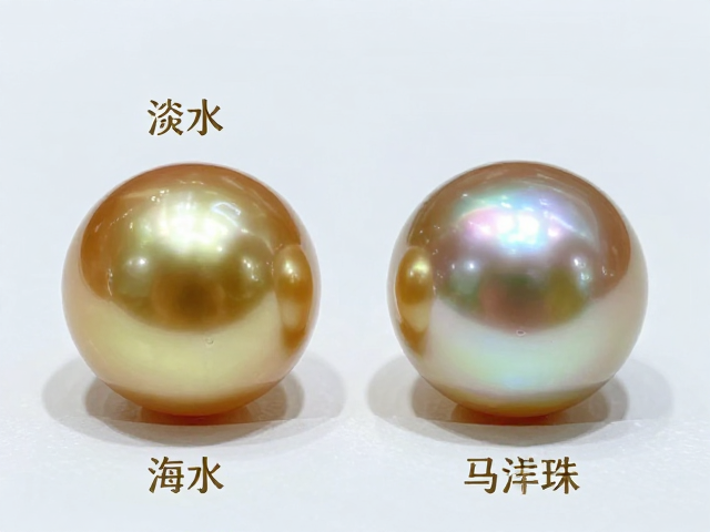 珍珠选购指南,淡水、海水、南洋金珠与马贝珠树脂光泽对比