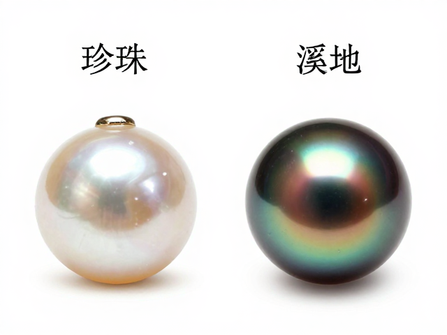 珍珠与海螺珠区别，淡水珠、海水珠、南洋金珠大溪地黑珍珠选购指南