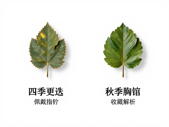 四季更迭下的树叶胸针,佩戴指南与收藏价值解析