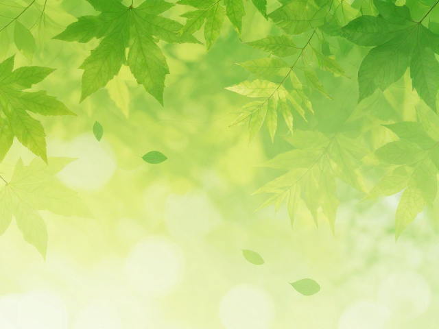 树叶柔和渐变抽象提炼，高颜值设计灵感与SEO视觉优化指南