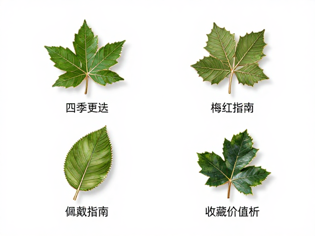 四季更迭下的树叶胸针,佩戴指南与收藏价值解析