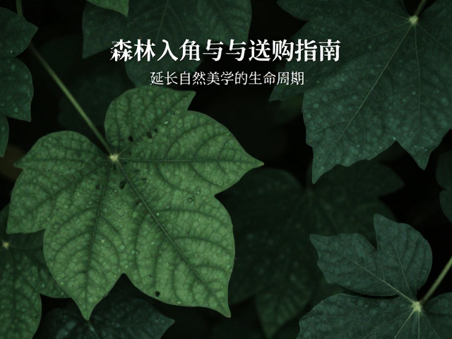森林系轻奢入门款,树叶元素饰品推荐与选购指南