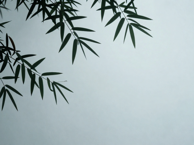 新中式植物意象，树叶与冷调植物感的清冷美学解析