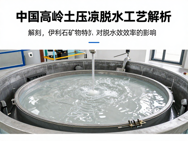 中国高岭土压滤脱水工艺解析，伊利石矿物特性对脱水效率的影响