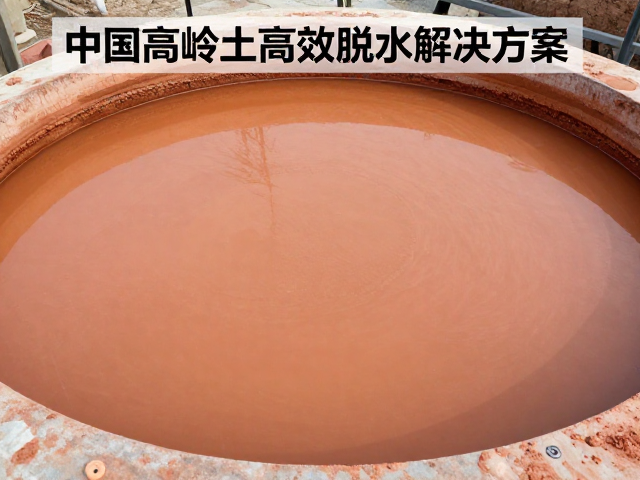 江西景德镇高岭土压滤脱水工艺，中国高岭土高效脱水解决方案