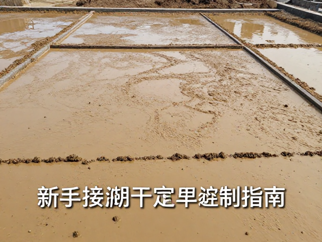 泥浆粘接阴干定型与应力控制训练,新手避坑指南