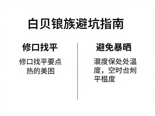白贝镶嵌避坑指南,修口找平要点与避免暴晒保养技巧