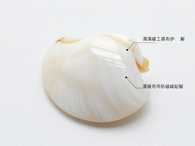 白贝镶嵌工艺解析,薄嵌满嵌并用防磕碰起翘技巧