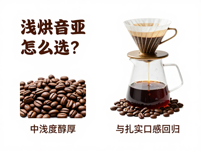 中烘醇厚：温暖甜感与扎实口感的回归