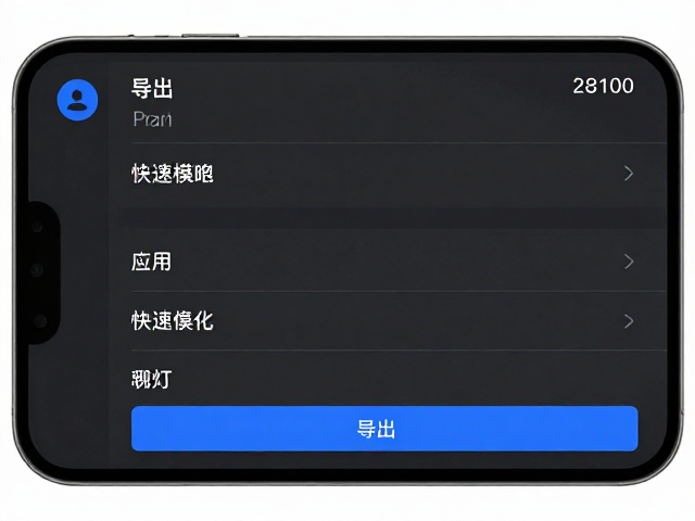 导出设置与画质优化