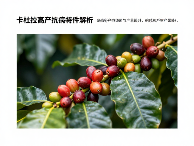 抗病能力与环境适应性分析
