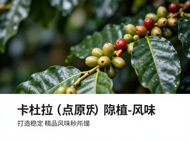 微气候调控对风味稳定性的科学影响