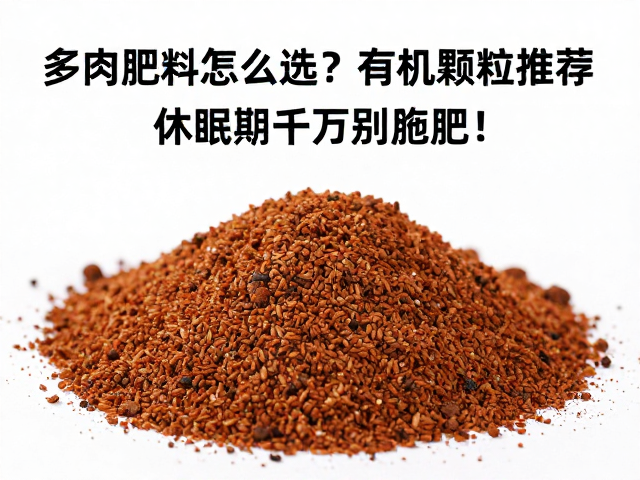 多肉肥料怎么选？有机颗粒肥推荐，休眠期千万别施肥！