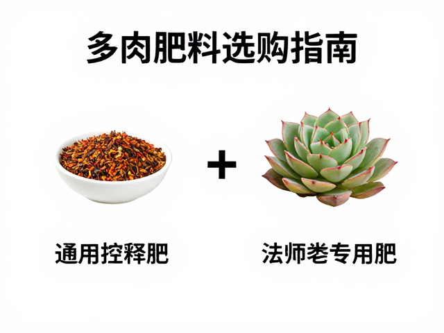 常见问题排查与肥料失效的应对
