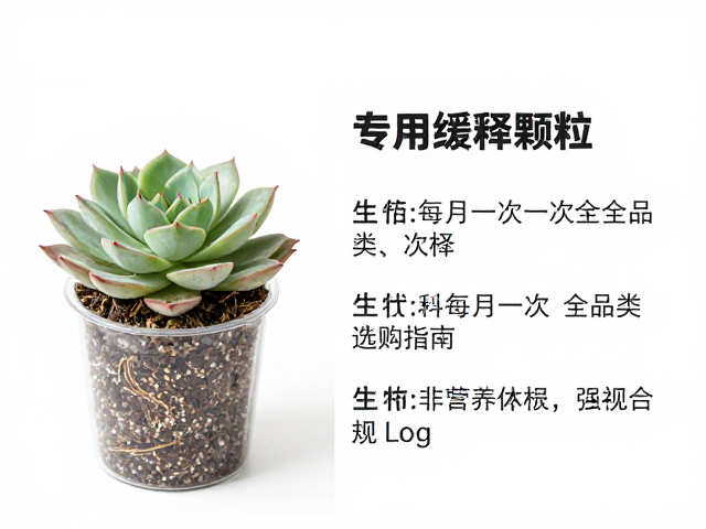 多肉肥料怎么选？专用缓释颗粒，生长期每月一次全品类选购指南