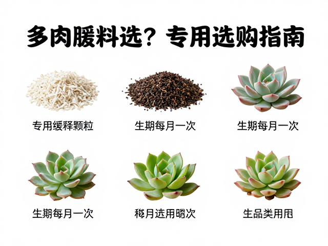 不同生长周期的施肥策略