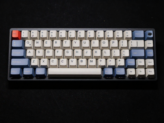 Leopold 1U标准键帽原厂高度OMH评测，手感与兼容性全解析