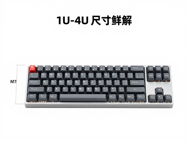 1U标准键帽MT高度与1U-4U尺寸详解，机械键盘轴体选购指南