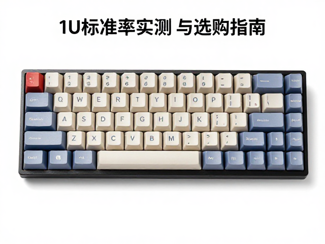 1U标准键帽MT高度解析，字符磨损率实测与选购指南