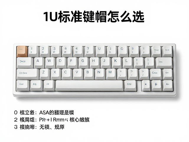 1U标准键帽怎么选？ASA工程塑料与高度组搭配指南