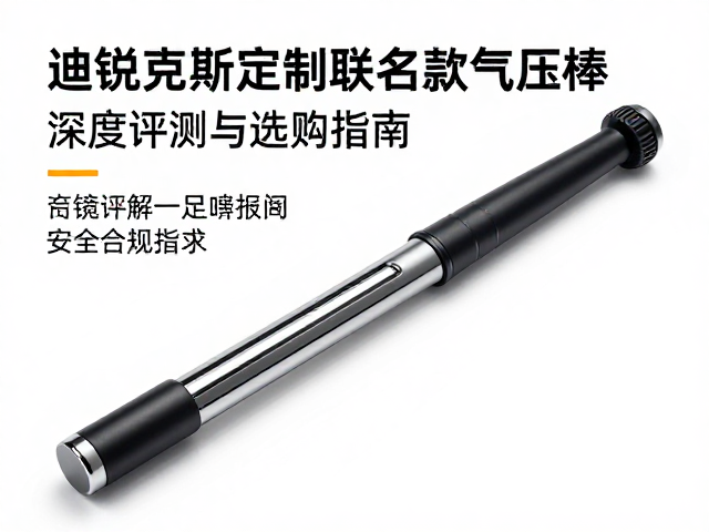 迪锐克斯定制联名款气压棒品牌深度评测与选购指南