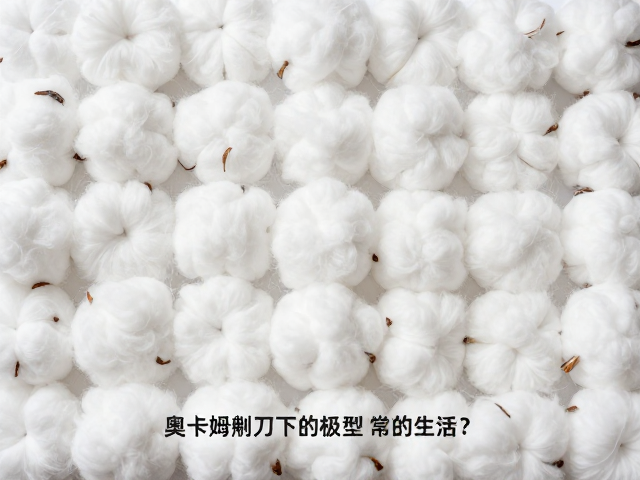 奥卡姆剃刀下的极简主义,高密度定型棉如何重塑高效生活?
