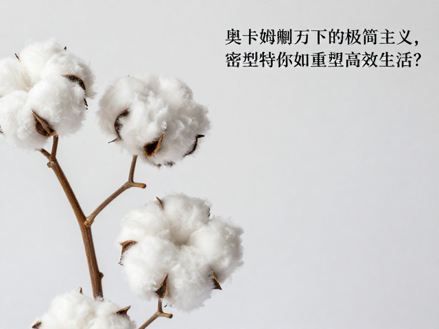 奥卡姆剃刀下的极简主义,高密度定型棉如何重塑高效生活?