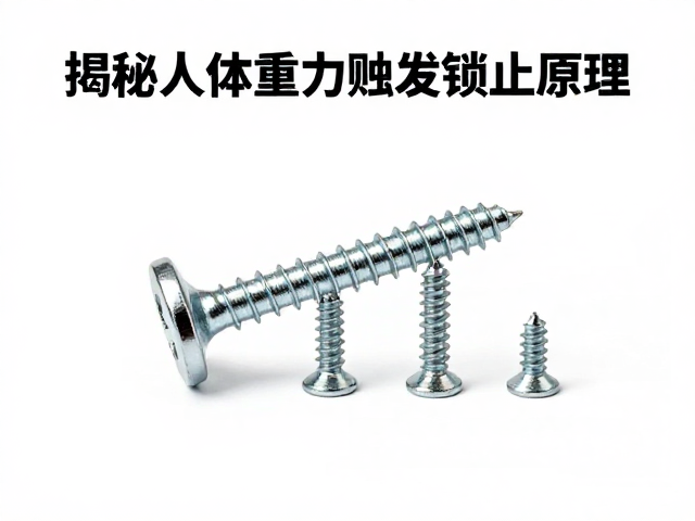 揭秘人体重力触发锁止原理,核心机制与定期紧固螺丝的必要性