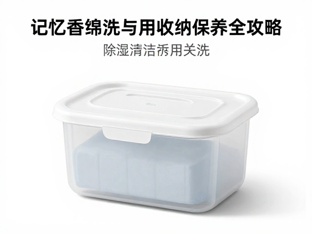除湿干燥盒怎么选？记忆海绵拆洗与专用收纳盒保养全攻略