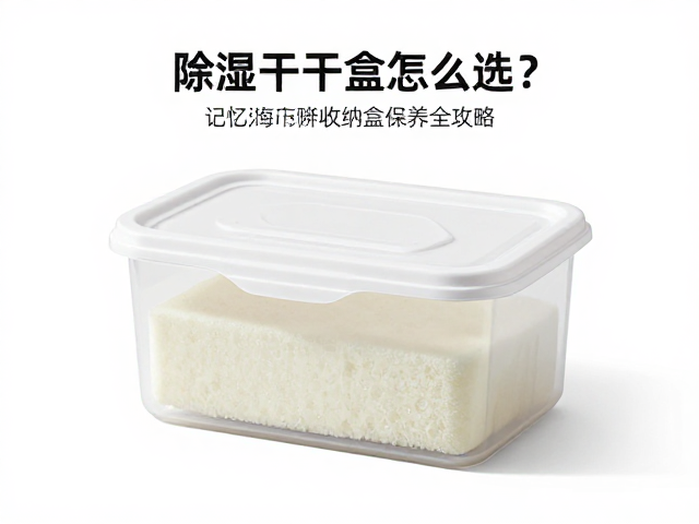 除湿干燥盒怎么选？记忆海绵拆洗与专用收纳盒保养全攻略