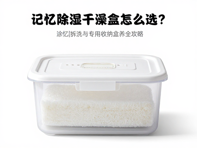 除湿干燥盒怎么选？记忆海绵拆洗与专用收纳盒保养全攻略