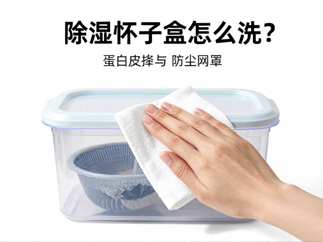 除湿干燥盒怎么洗？蛋白皮擦拭与防尘网罩清理全攻略