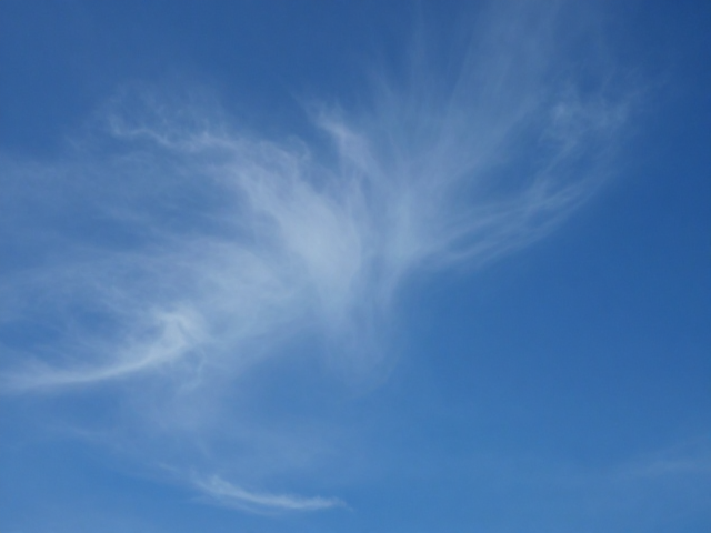 天空与大气,印象派风景里的环保启示录