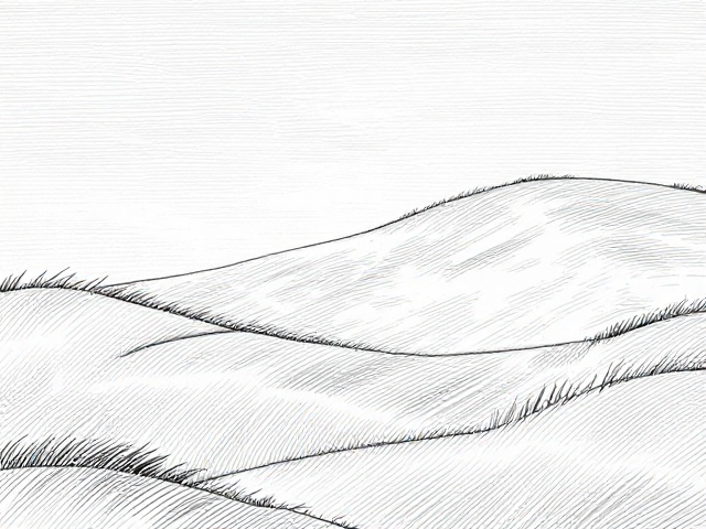 线条轮廓与排线密度,勾勒宁静舒缓的治愈系插画美学