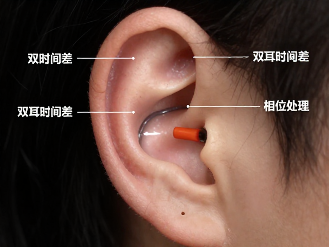 揭秘双耳时间差与耳蜗基底膜振动,车内混响控制终极指南