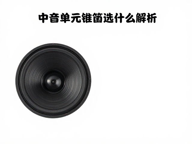 中音单元锥盆选什么纸质?抗老化材质解析,告别音质衰减