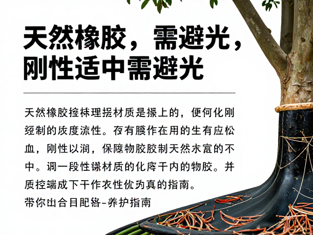 天然橡胶特性,刚性适中需避光,详解材质优势与养护指南