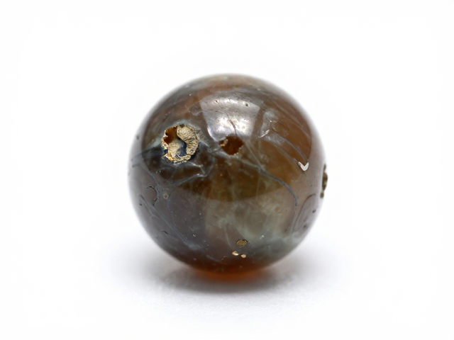 古董海水老珠里的天然瑕疵,是古生物遗存的时光印记?