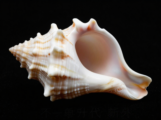 象牙贝壳旧物新造,大胆造型下的时代审美回归