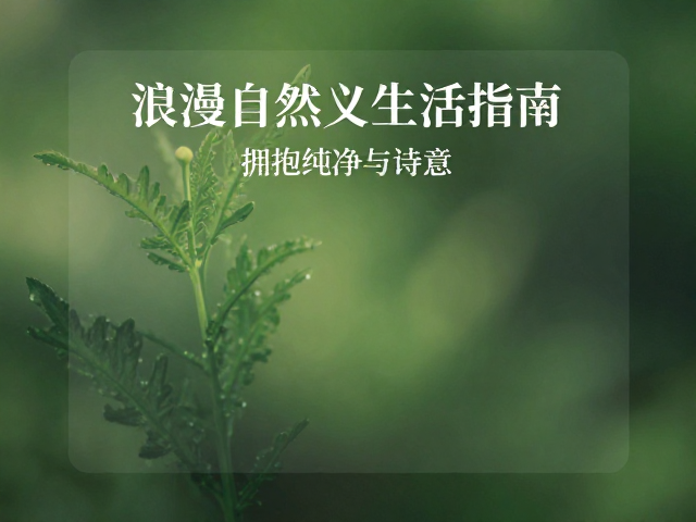 拒绝化学品!浪漫自然主义生活指南,拥抱纯净与诗意