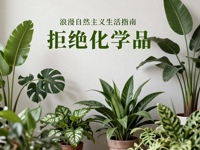 拒绝化学品!浪漫自然主义生活指南,拥抱纯净与诗意