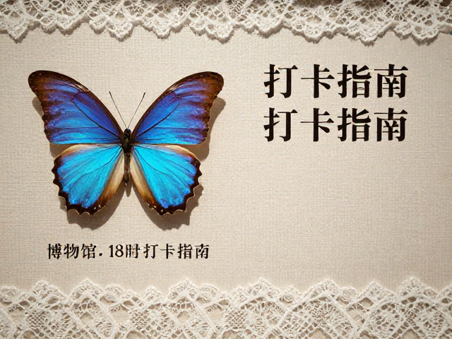 蝴蝶与蕾丝感,博物馆特展常设区打卡指南