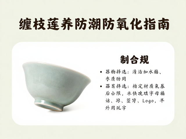 缠枝莲茶具防潮防氧化指南，清雅文人意境下的养护秘籍