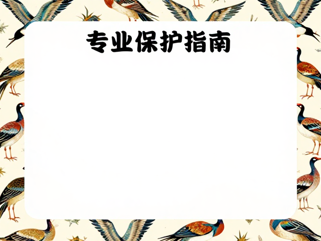 草原动物纹样鸾鸟图案如何避免硬物碰撞?专业保护指南