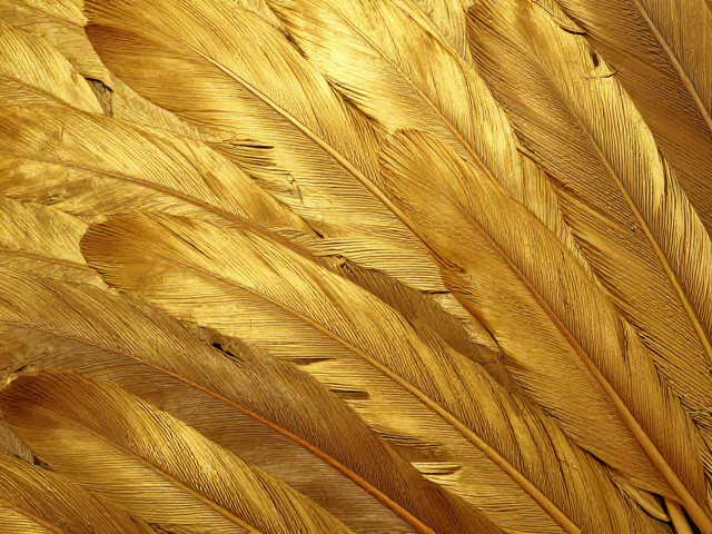 盛于明清的羽色渐变质感金片,惊艳视觉的古典美学细节赏析